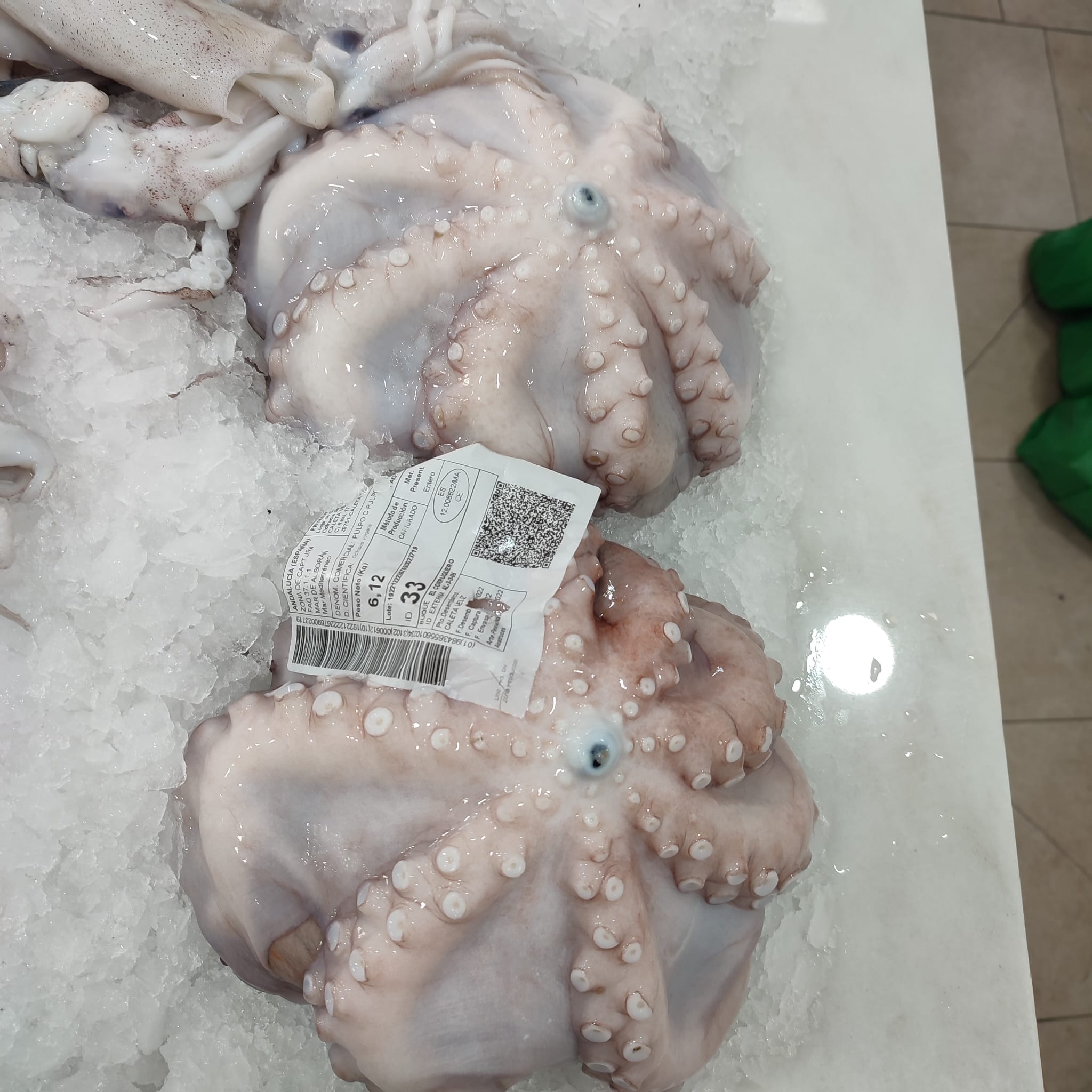 Pulpo